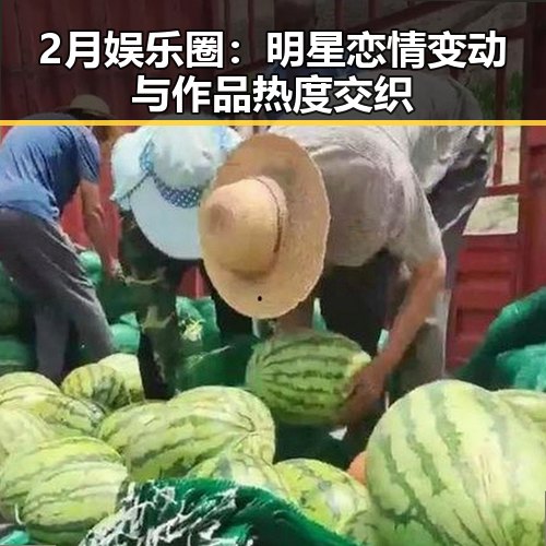 2月娱乐圈:明星恋情变动与作品热度交织
