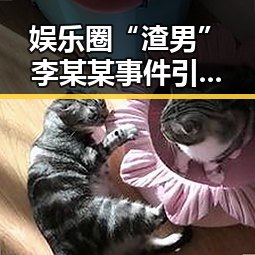 娱乐圈“渣男”李某某事件引发热议，百度云成“吃瓜圣地”现象背后隐藏的真相